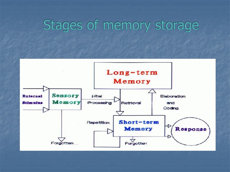 Stages of memory storage